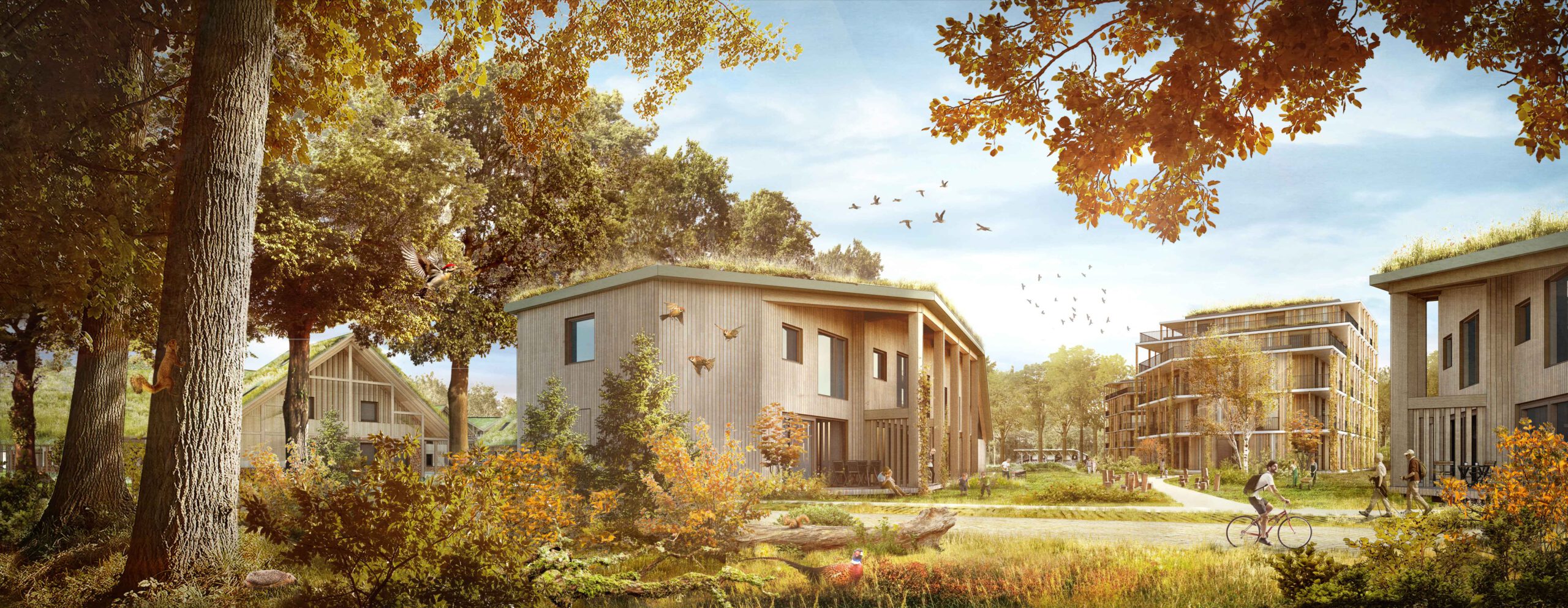 Biobased architecture